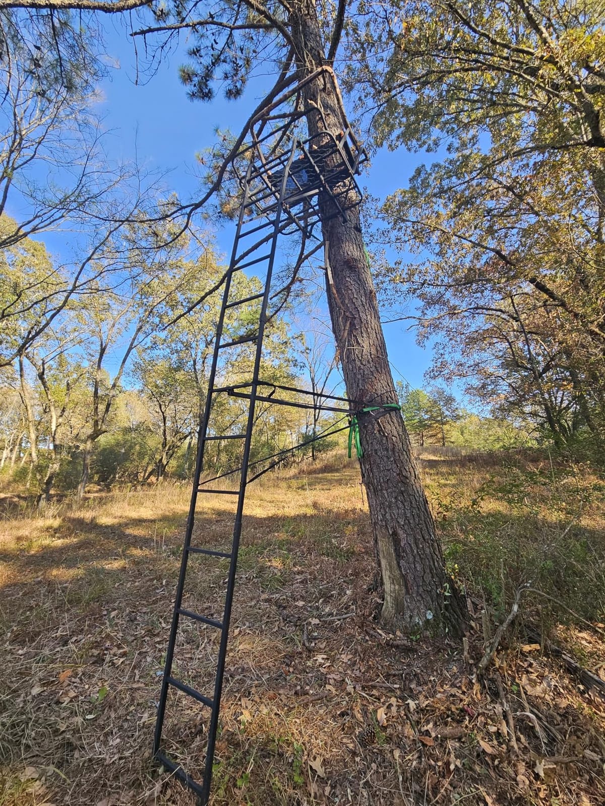 Muddy 2-Person Ladder Tree Stand for Deer Hunting, 17' Tall, Black | The Partner - Adjustable Climbing Treestand with Platform, Straps and Safety Harness for Shooting customer photo 2