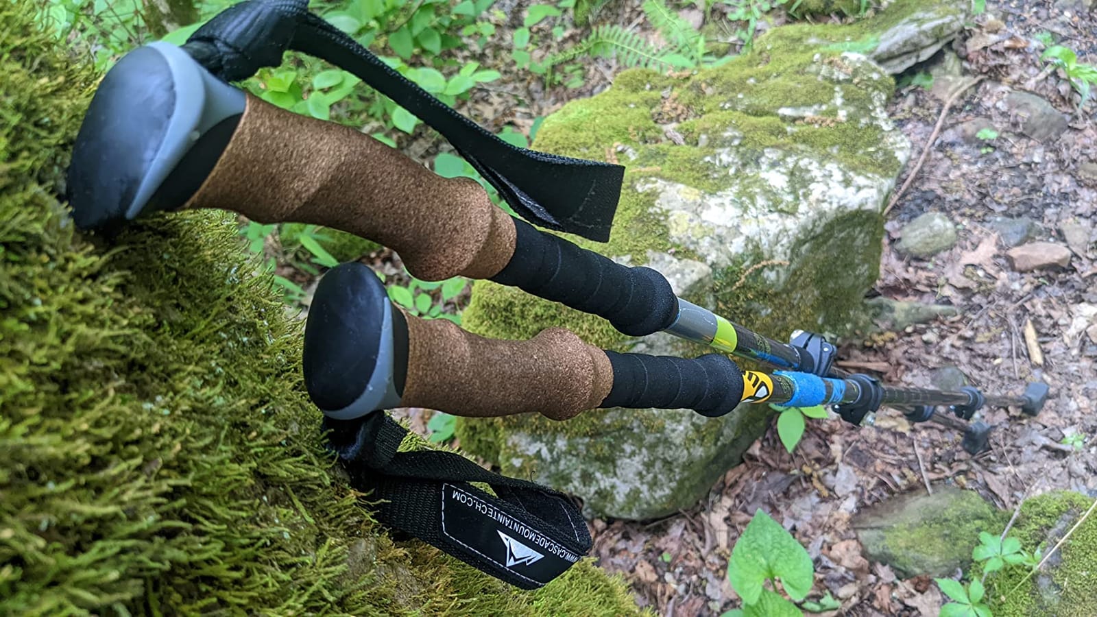 Cascade Mountain Tech Trekking Poles - Carbon Fiber Walking or Hiking Sticks with Quick Adjustable Locks customer photo 2