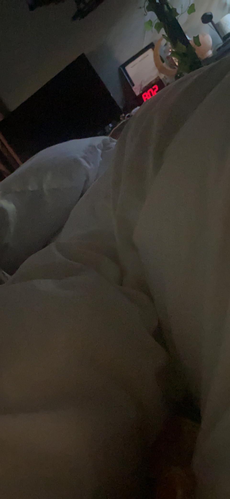 puredown Goose Down Comforter Full/Queen Size 800 Fill Power, 100% Cotton Winter Oversized Duvet Insert 700 Thread Count, Heavyweight Cloud Fluffy Pinch Pleat Extra Warmth customer photo 1