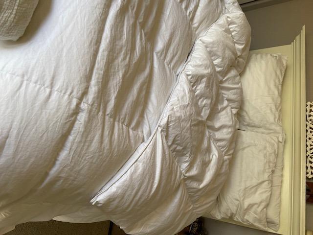 puredown Goose Down Comforter Full/Queen Size 800 Fill Power, 100% Cotton Winter Oversized Duvet Insert 700 Thread Count, Heavyweight Cloud Fluffy Pinch Pleat Extra Warmth customer photo 2