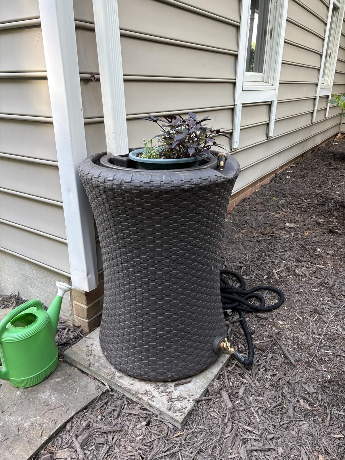 Good Ideas Impressions Nantucket Rain Water Collection Barrel, 50 Gallon | Dark Brown Rainwater Catcher with Garden Planter and Metal Spigots customer photo 1