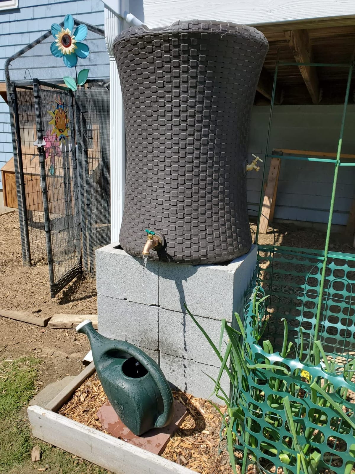 Good Ideas Impressions Nantucket Rain Water Collection Barrel, 50 Gallon | Dark Brown Rainwater Catcher with Garden Planter and Metal Spigots customer photo 2