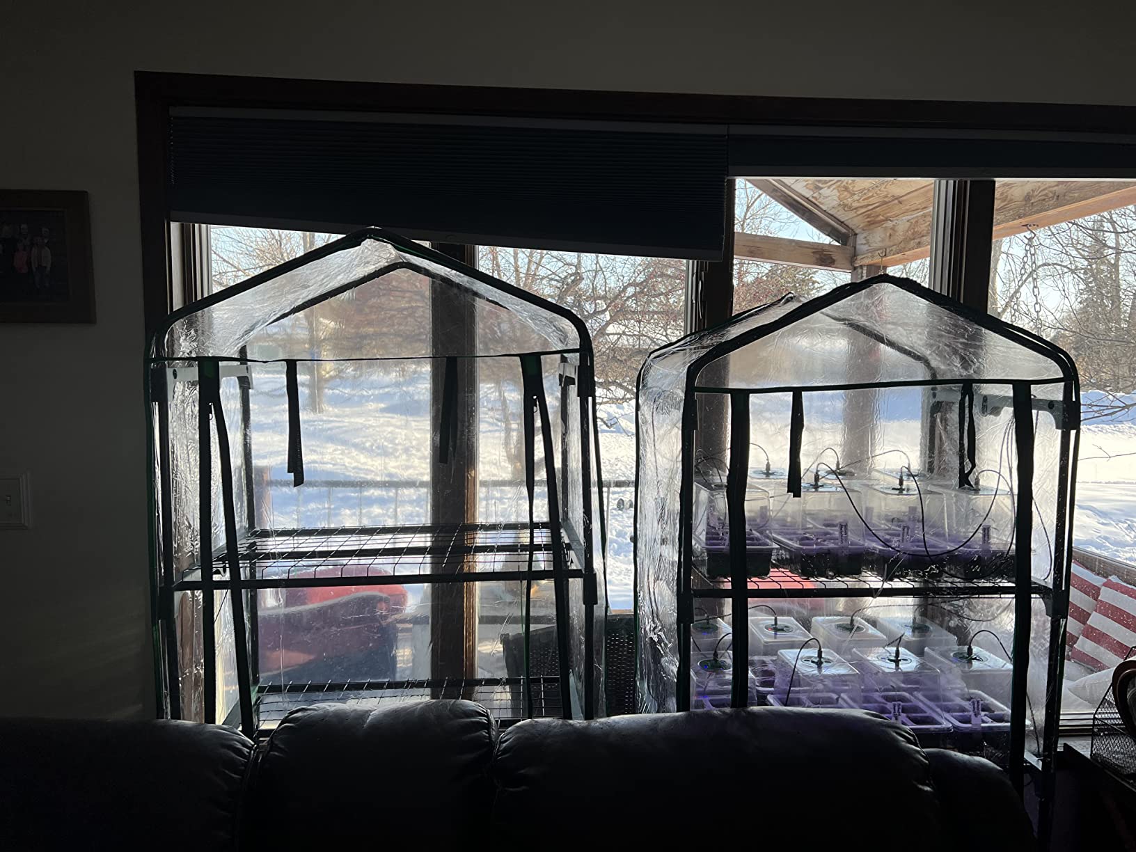 4 Tier Mini Greenhouse - Portable Greenhouse with Locking Wheels and PVC Cover for Indoor or Outdoor Green House by Pure Garden customer photo 1