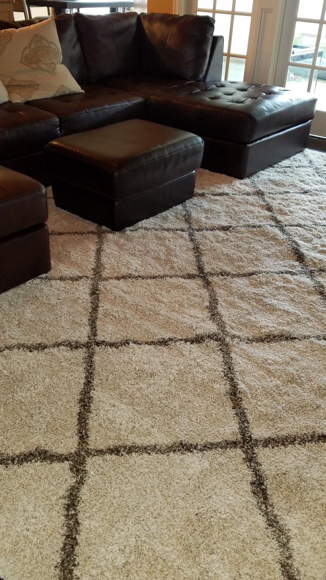 SAFAVIEH Hudson Shag Rug 8x10, Plush Trellis Large Ivory & Beige SGH281D customer photo 2
