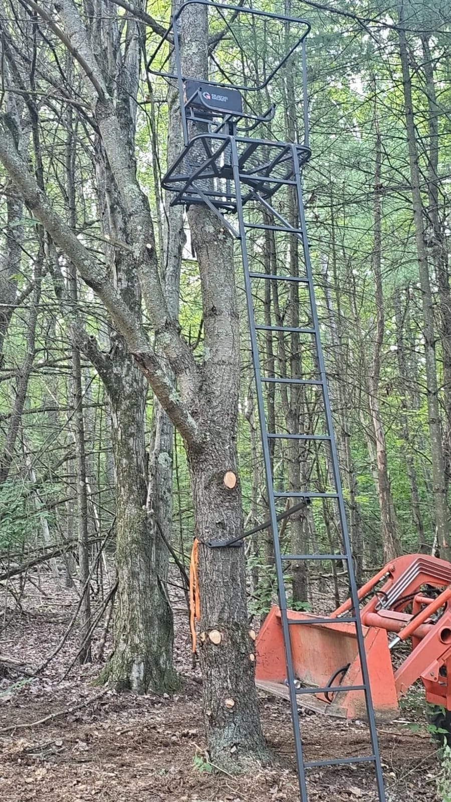 Guide Gear 16' Swivel Ladder Tree Stand for Hunting Climbing Seat Hunt Gear Equipment Accessories customer photo 2