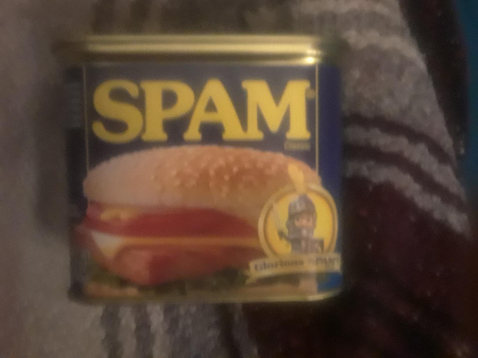 BigMouth Spam Diversion Can Safe, Hidden Stash Container for Valuables, Realistic Weighted Secret Compartment customer photo 2