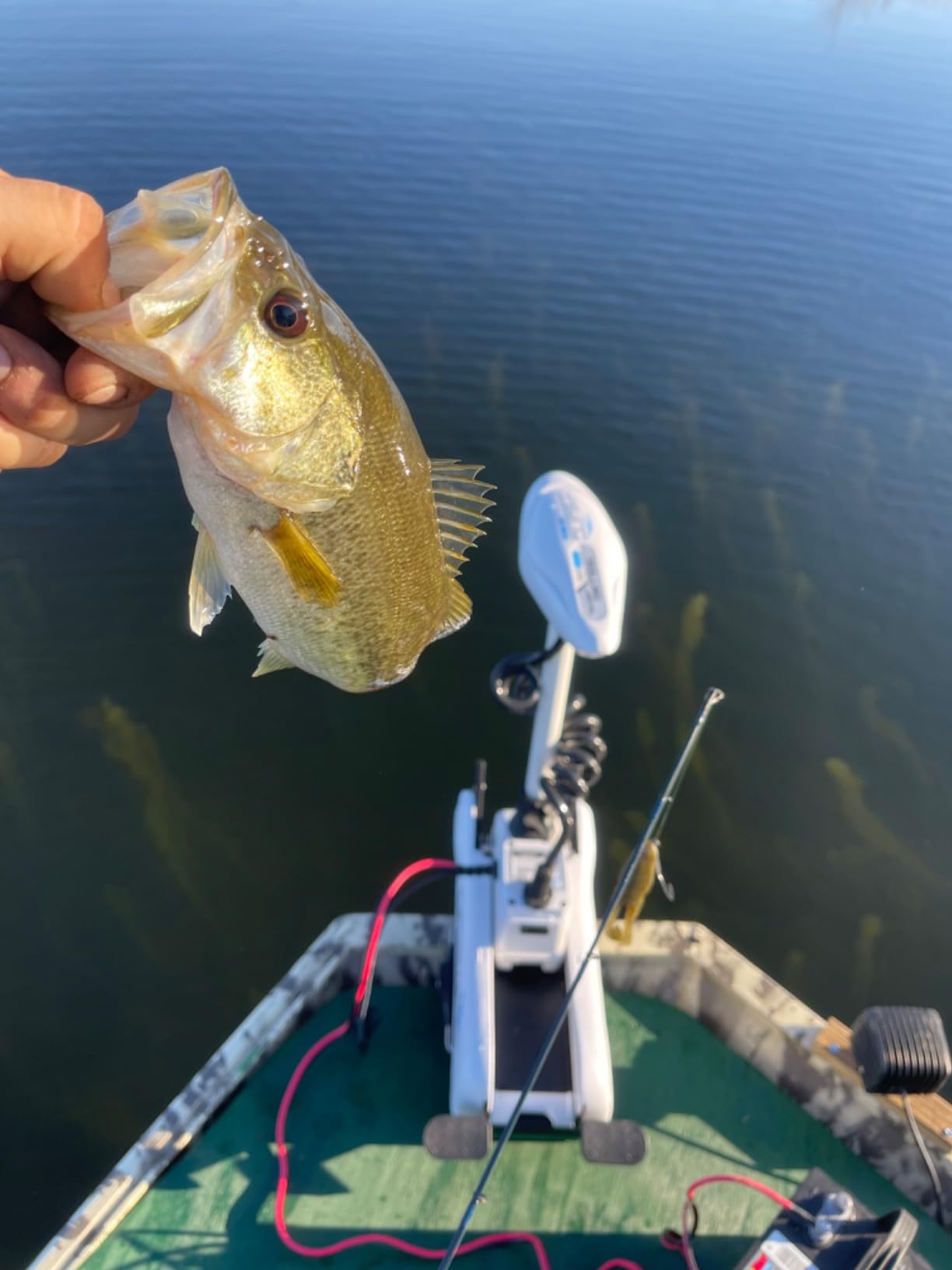 Haswing Bow Mount Trolling Motor 55lbs 48in - Remote & Foot, Quick Release customer photo 1