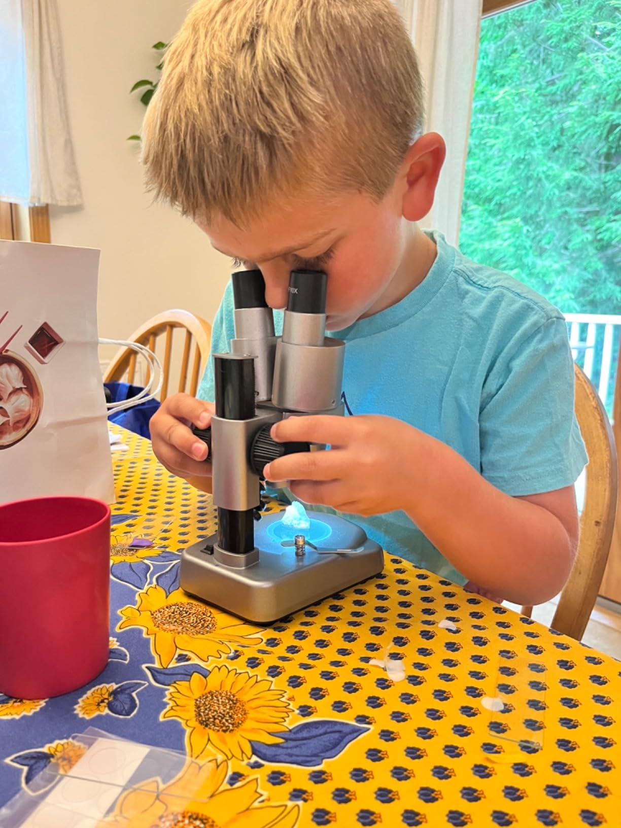 National Geographic Dual LED Kids Microscope - 50+ pc Science Kit with 10 Prepared Slides & 10 DIY Blank Slides, Biology Experiment Activity, Microscope Kit for Kids 8-12 customer photo 2