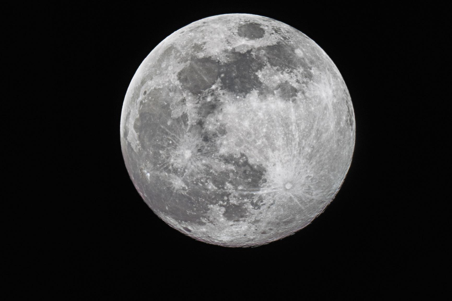 Celestron NexStar Evolution 8HD WiFi Telescope with StarSense AutoAlign | WiFi Telescope Control, Razor Sharp EdgeHD Optics, Astroimaging Ready customer photo 2