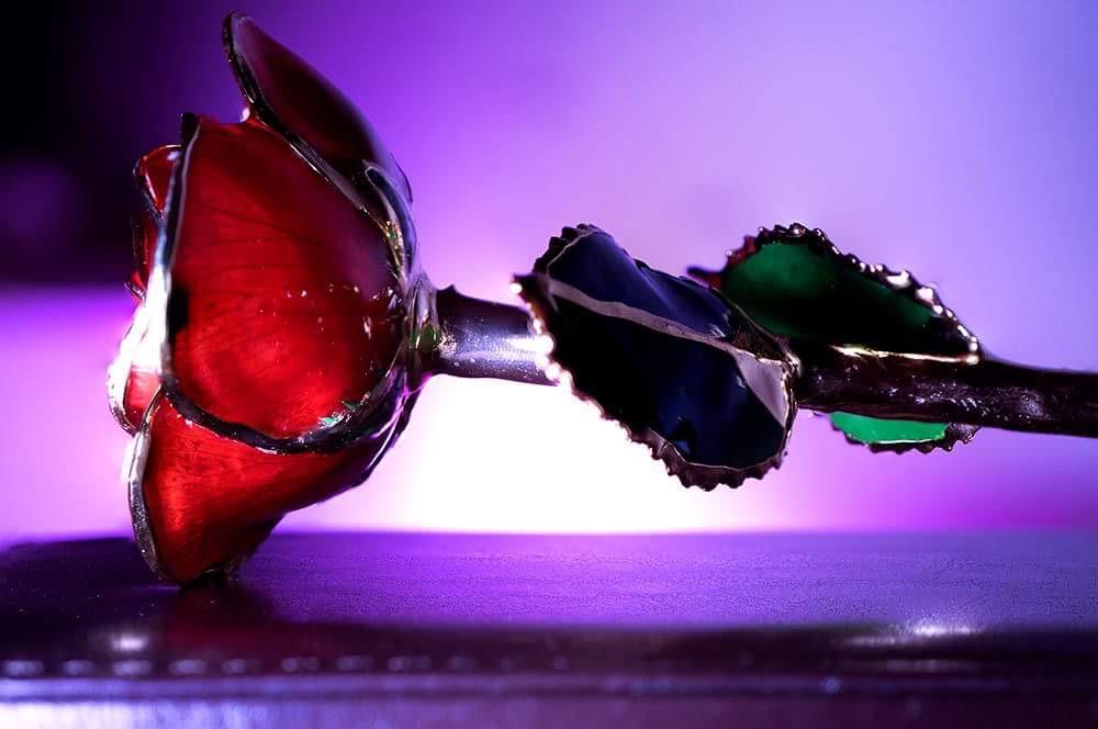 Sony SEL50M28 FE 50mm F2.8 Full Frame E-mount Lens, 1:1 Macro with f/2.8 aperture customer photo 1
