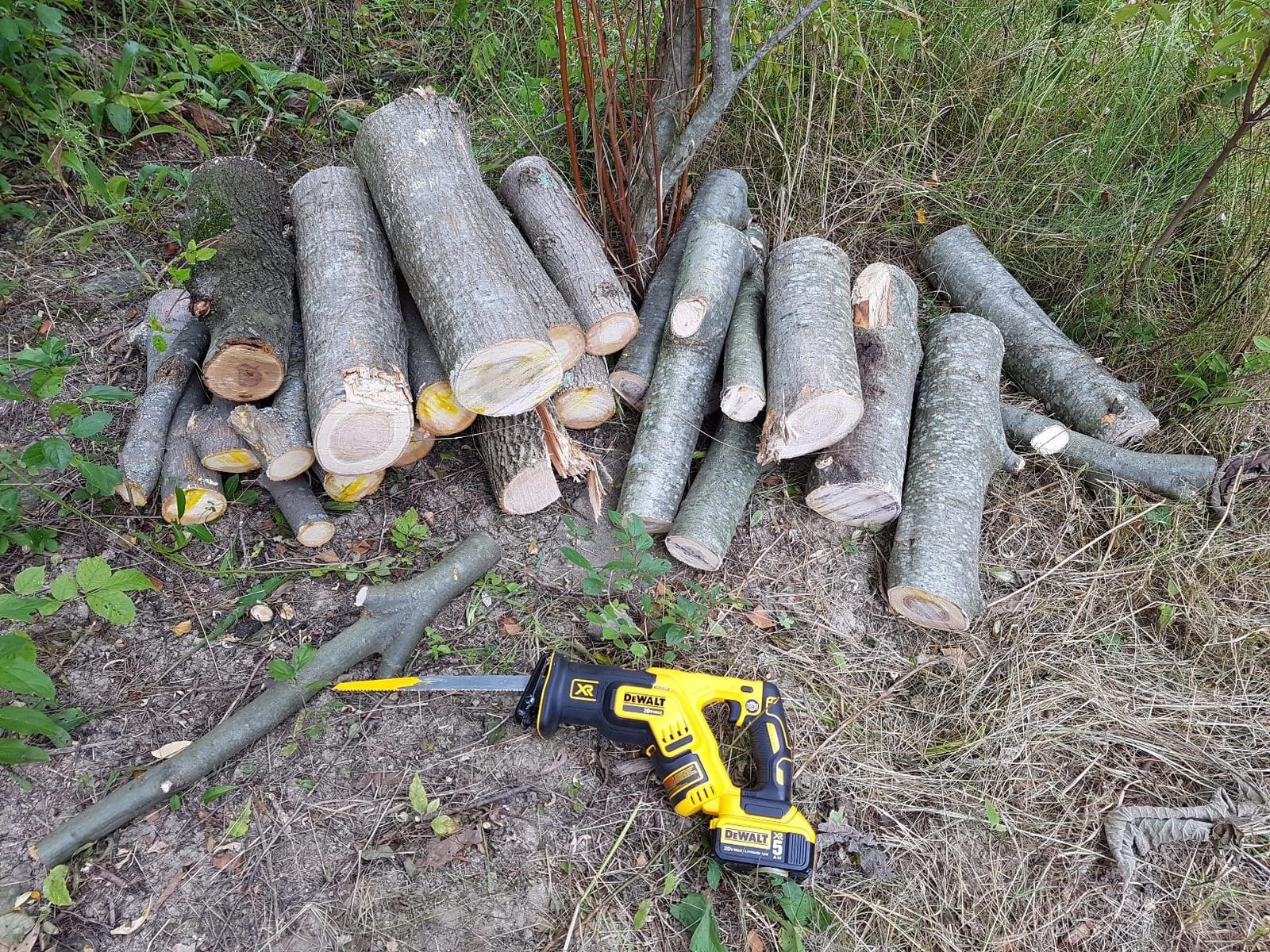 DEWALT 20V MAX XR Reciprocating Saw Cordless, Brushless, Compact, Variable Speed, Pivoting Head, LED Light, Tool Only (DCS367B) customer photo 2