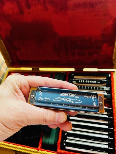 East top Harmonica Set of 7, 10 Holes Diatonic Mouth Organ Set of 7 Keys 008K Harmonicas set for Beginners and Professional with Black Case customer photo 1