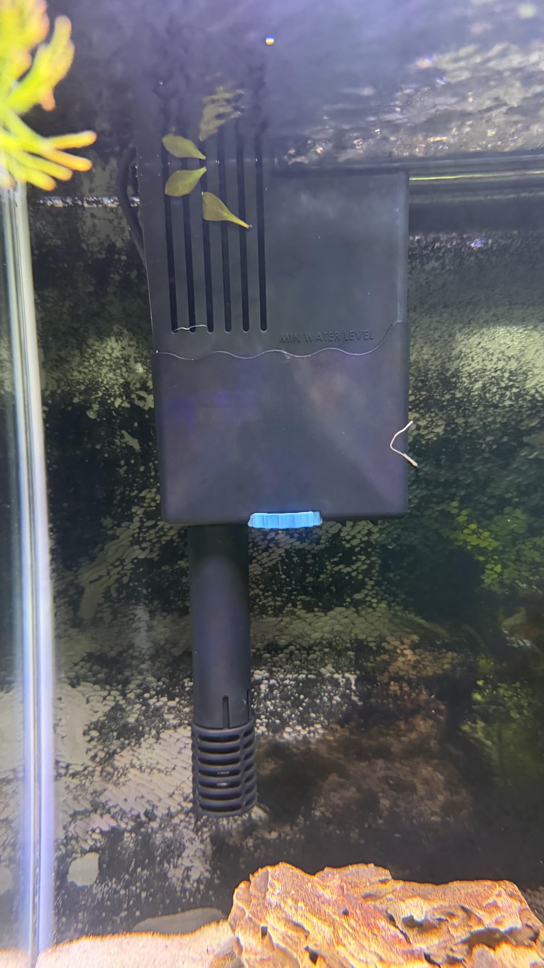SeaChem Large Aquarium Fish Tank Filter, Tidal 75 Gallon (300 Liters) by Sicce customer photo 2