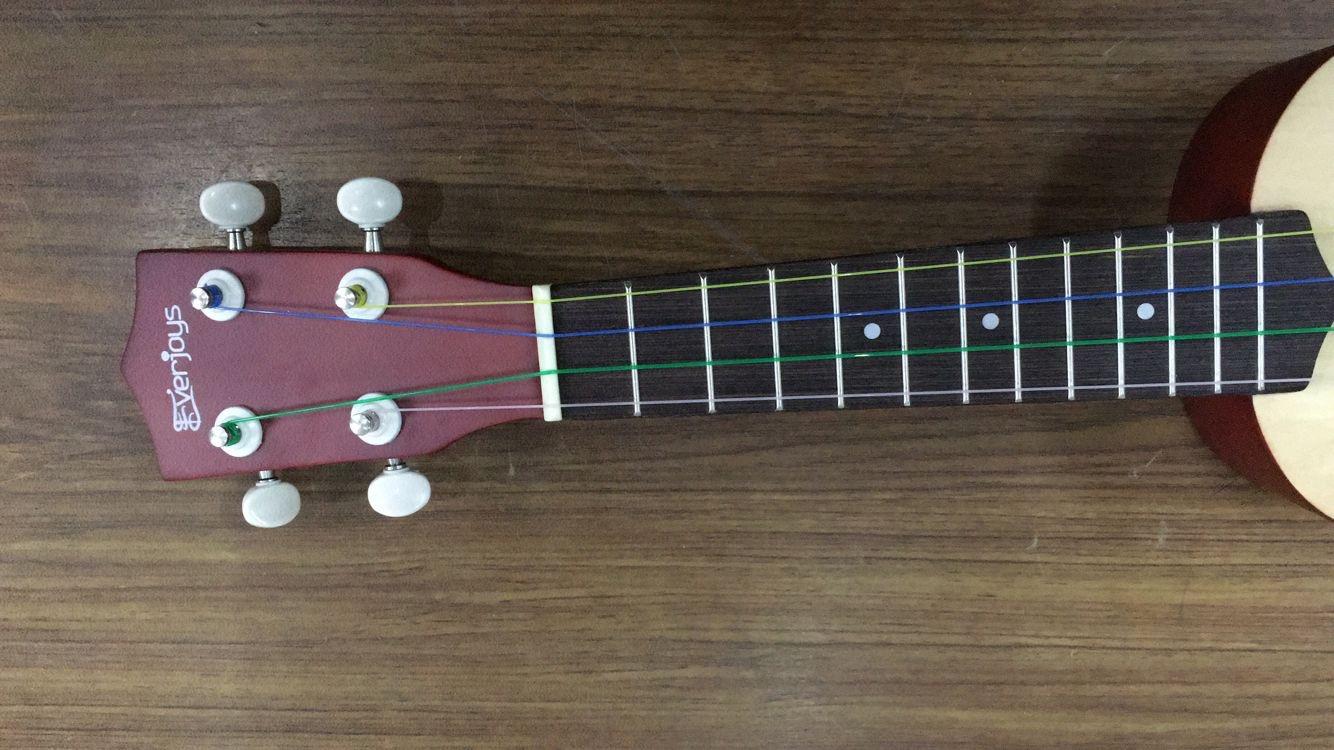 Everjoys Soprano Ukulele Beginner Kit 21 Inch w/Free Online Lesson Gig Bag Tuner Picks Strap, Fast to Learn (Rainbow String) customer photo 1