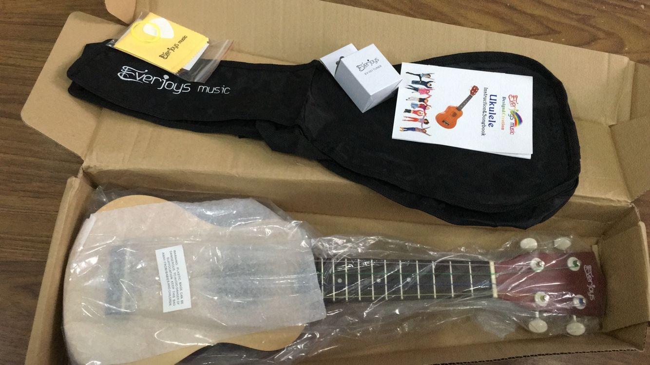 Everjoys Soprano Ukulele Beginner Kit 21 Inch w/Free Online Lesson Gig Bag Tuner Picks Strap, Fast to Learn (Rainbow String) customer photo 2