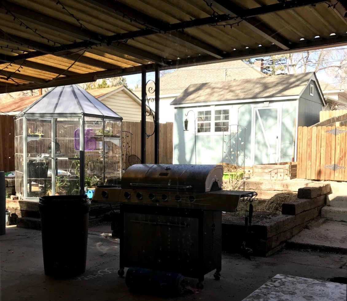 Palram - Canopia Oasis Hex 7' x 8' Polycarbonate Aluminum Greenhouse, Gray | Outdoor Backyard Home Garden Walk-In DIY Kit, Twin-Wall UV Protected, Heavy-Duty Aluminum Frame, Lockable Door, Roof Vent customer photo 2