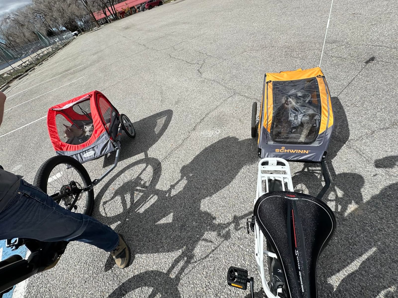 Schwinn 13-SC315 Rascal Bike Pet Trailer, For Small and Large Dogs, Lightweight, Tow with Bicycle, Up to 50 lbs. Small, Orange/Grey customer photo 1