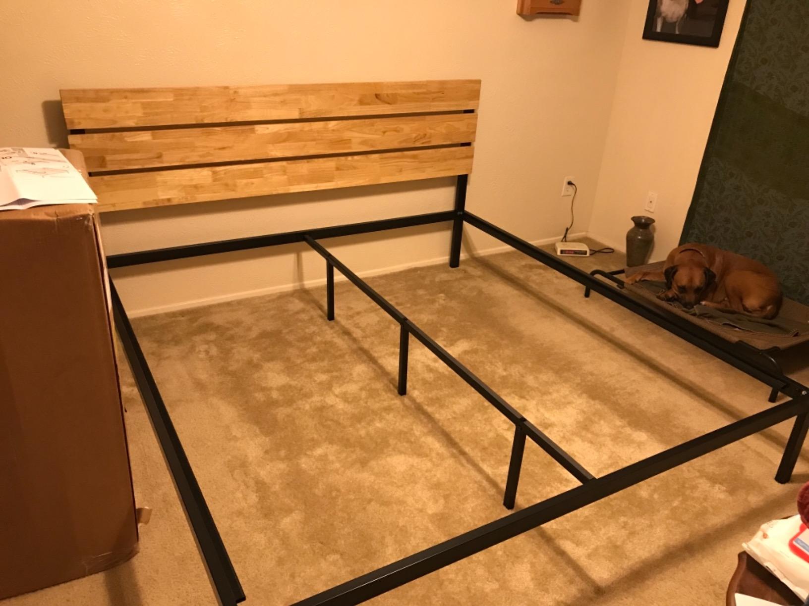 ZINUS Olivia Metal and Wood Platform Bed Frame / No Box Spring Needed / Wood Slat Support / Easy Assembly, Queen customer photo 1