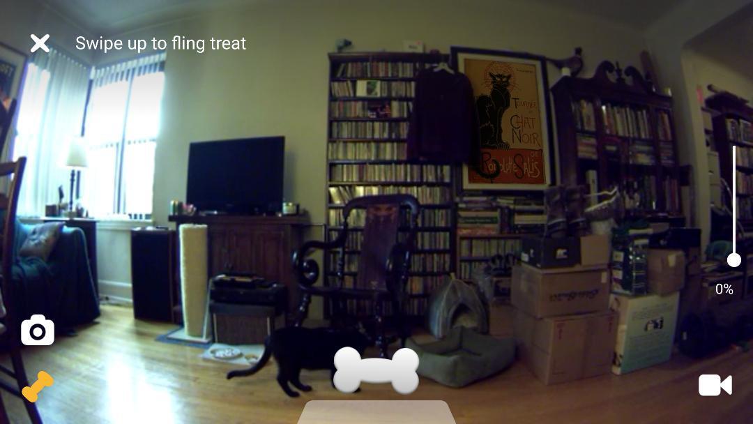 Petcube Bites Pet Camera with Treat Dispenser: HD 1080p Video Monitor, 2-Way Audio, Night Vision, Sound and Motion Alerts. For Dogs and Cats, Matte Silver (PB913NVTD) customer photo 2