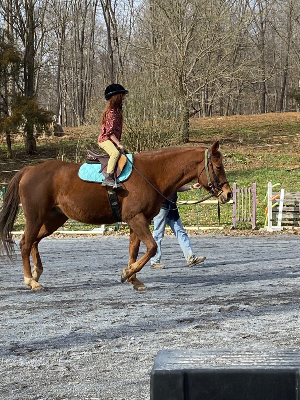 Saxon Syntovia Zip Paddock Boots customer photo 2
