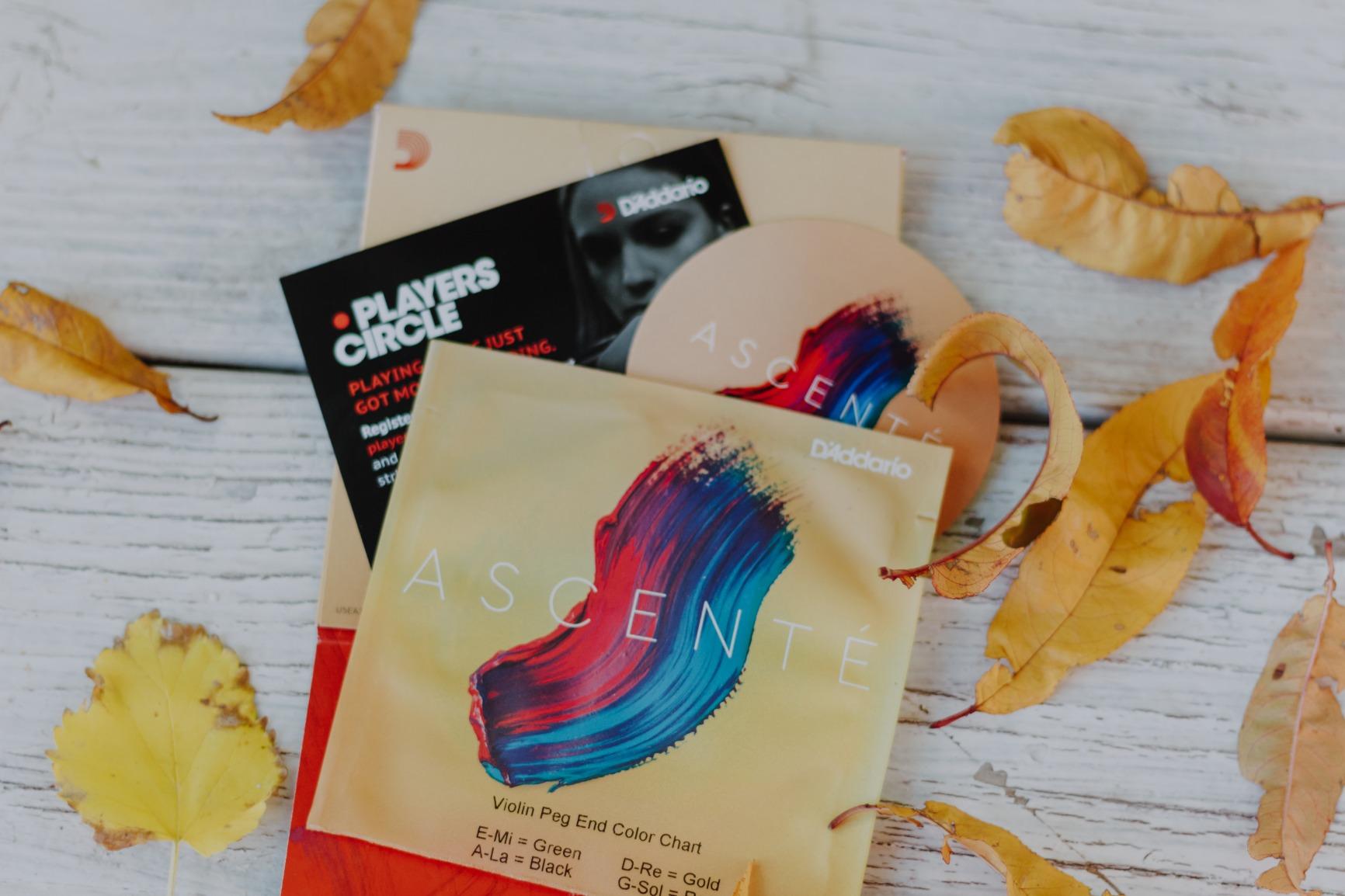 D'Addario Ascente Violin Strings - Violin Strings with Ball Ends, Synthetic Core - A310 4/4M - Full Set - 4/4 Scale - Medium Tension customer photo 1