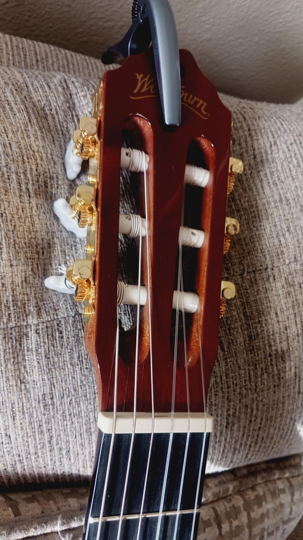 Washburn Classical C5CE Cutaway Acoustic Electric Guitar customer photo 2