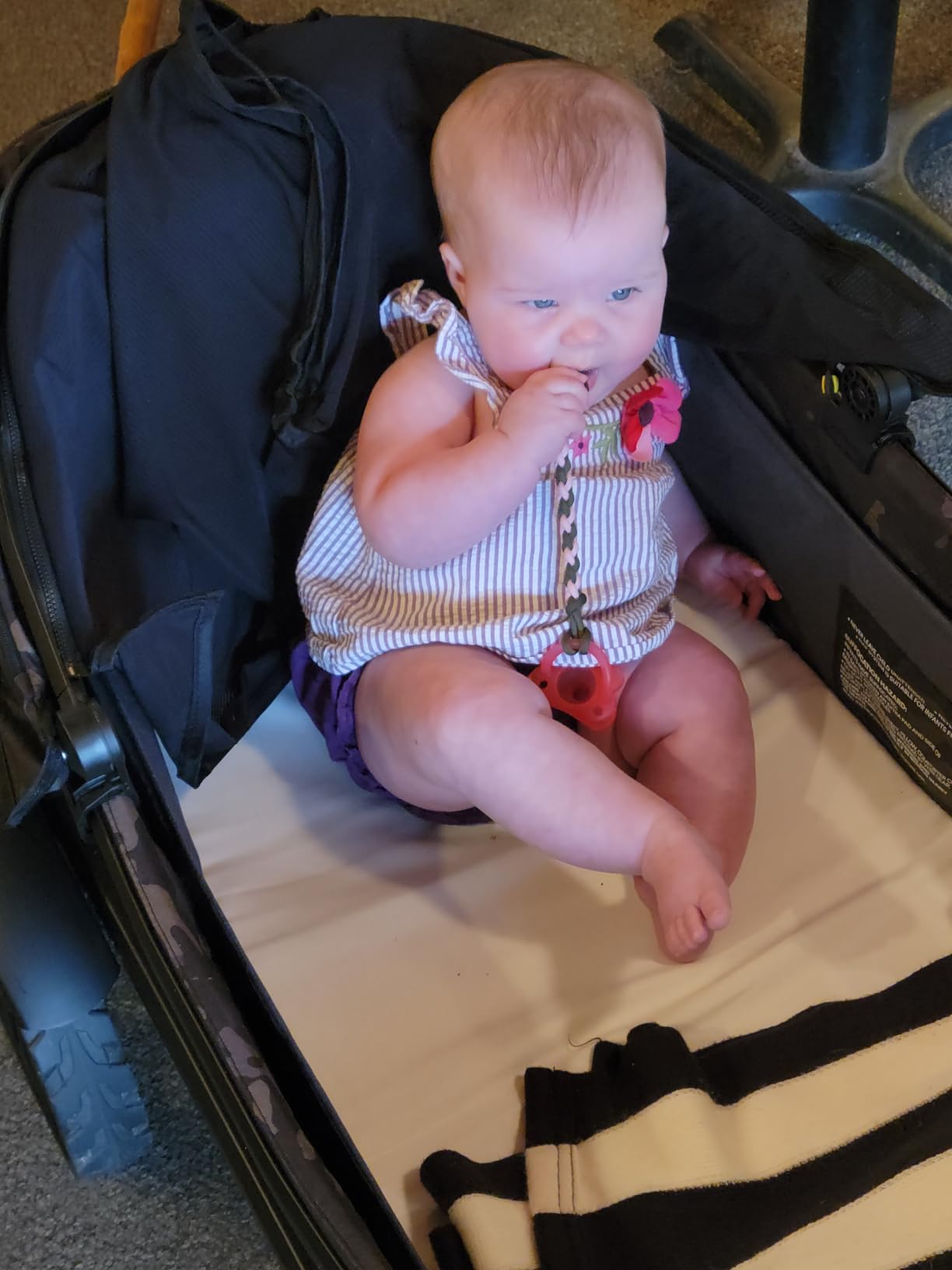 Veer All-Terrain Cruiser | Premium Off-Road Wagon Stroller for Babies, Toddlers, and Kids | Push/Pull/Push-Along Steering for Uneven Terrain | JPMA Certified | Lightweight and Collapsible | 2 Seats customer photo 2