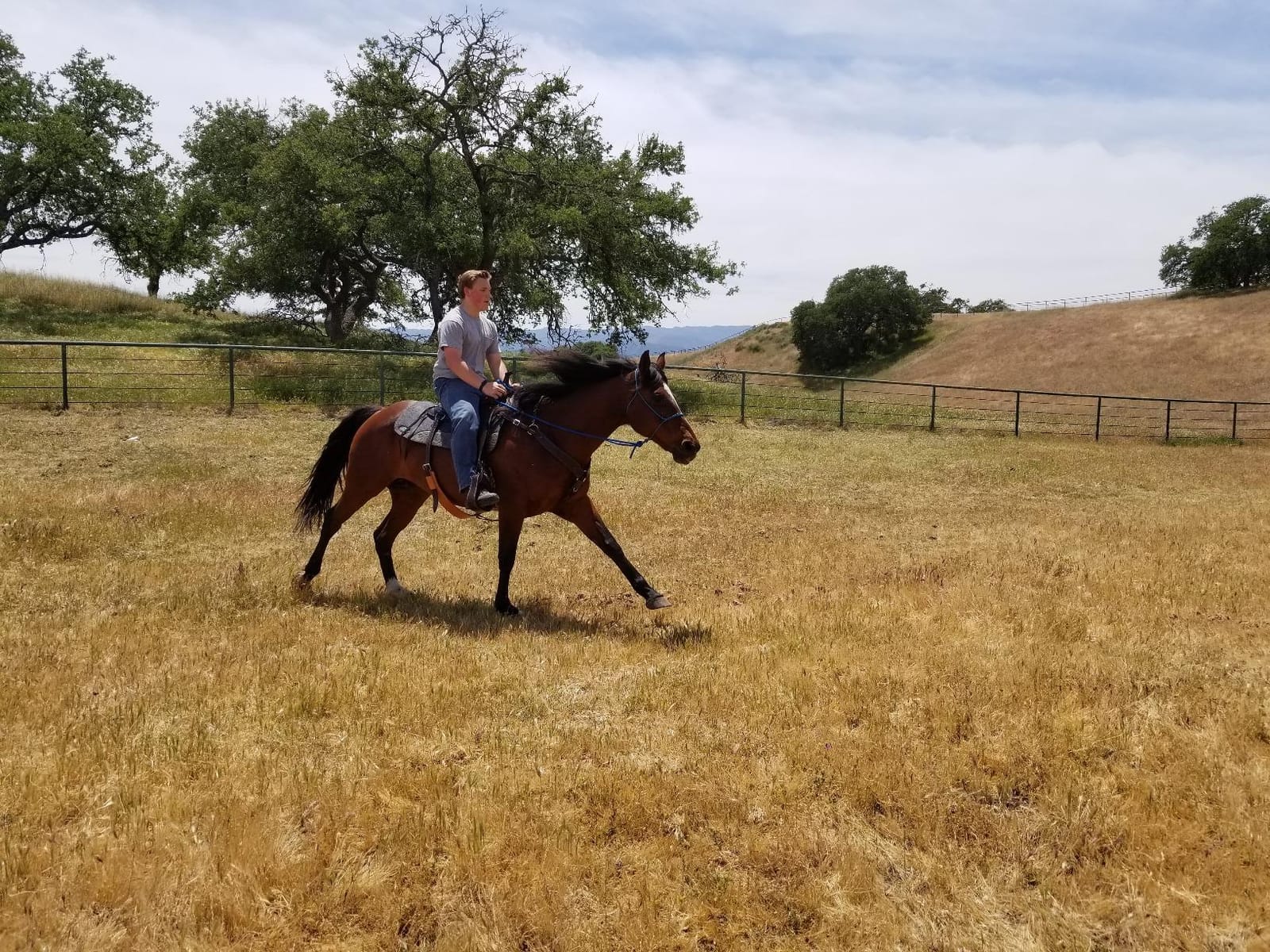 OrthoRide Correction Saddle Pad Western Saddle Pads - Made in USA customer photo 2