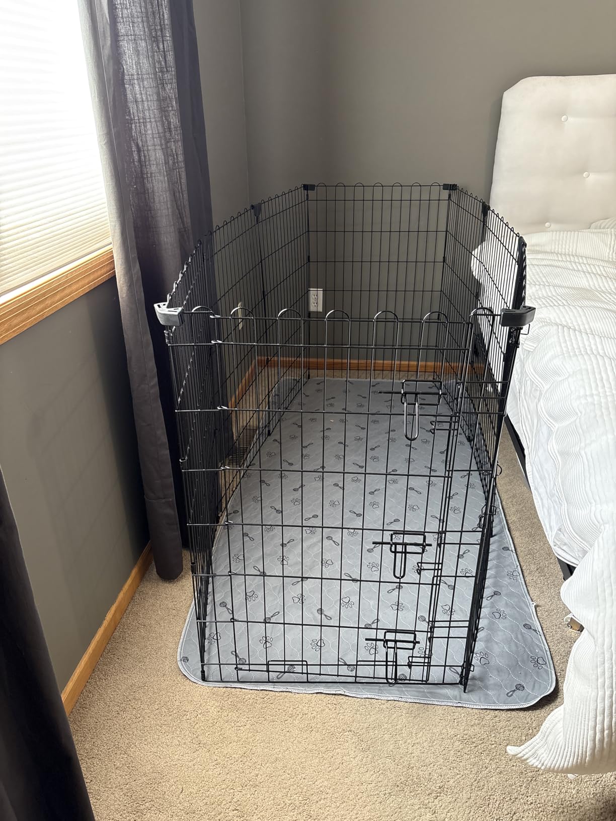 Amazon Basics Portable Foldable Octagonal Metal Exercise Dog Playpen, Indoor/Outdoor Pet Fence with Single Door, 8 Panels, Small, 30 Inches, Black customer photo 2
