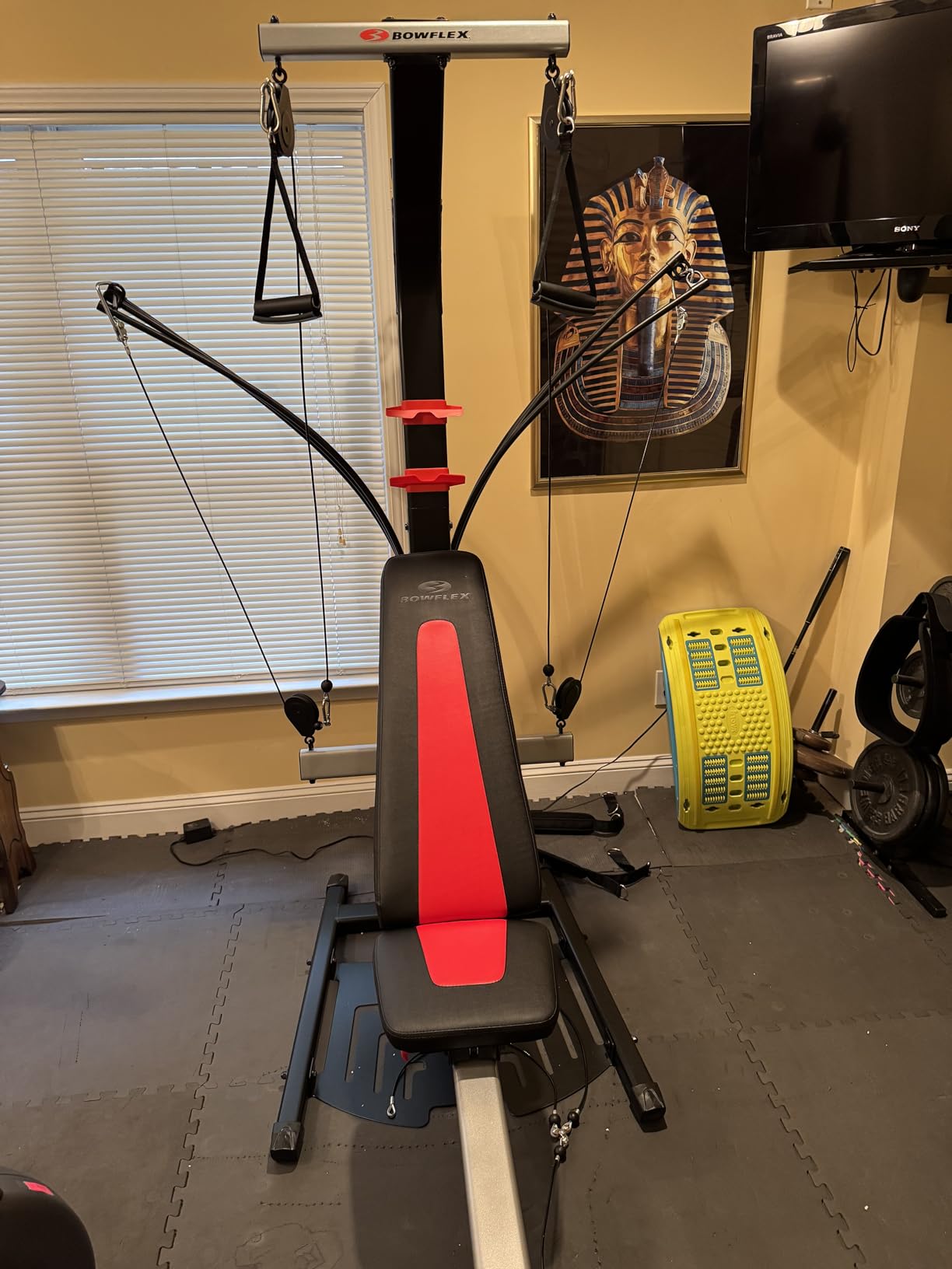 BowFlex Home Gym Workout Systems customer photo 2