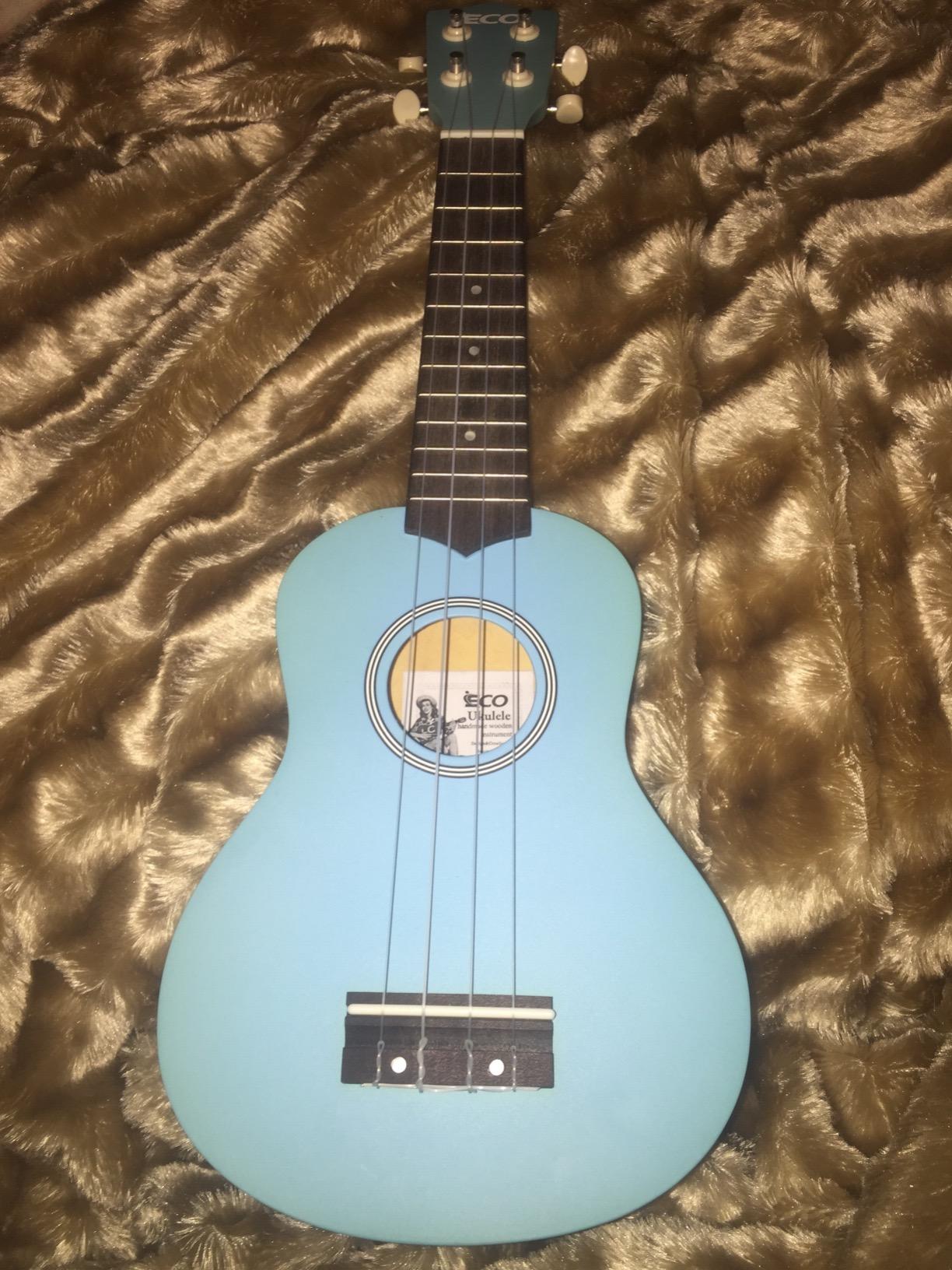 Soprano Ukulele Beginner Kit 21 Inch with Free Online Lesson Fast to Learn | for Kids Adult Student Starter Professional, with Case Strap Tuner Strings Picks customer photo 1
