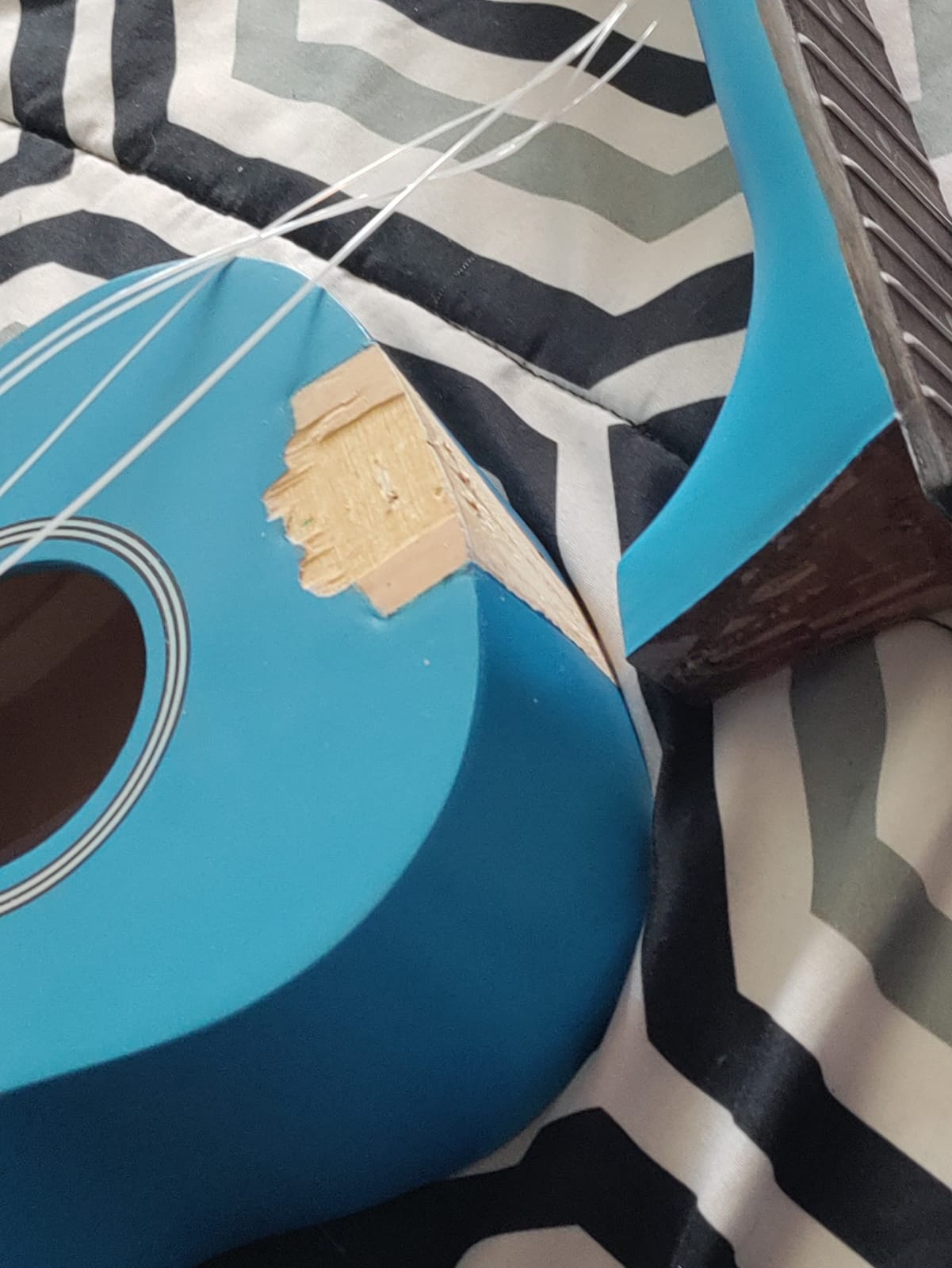 Soprano Ukulele Beginner Kit 21 Inch with Free Online Lesson Fast to Learn | for Kids Adult Student Starter Professional, with Case Strap Tuner Strings Picks customer photo 2