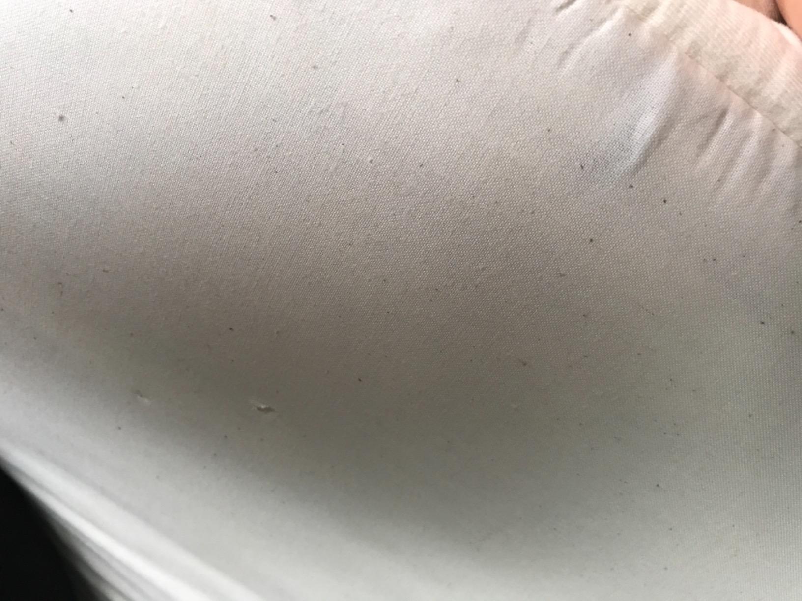 Happsy Organic Hybrid Mattress - Natural Latex Mattress with Encased Coil Layers - Medium Firm, Pressure Relieving - Bed-in-a-Box - King customer photo 1