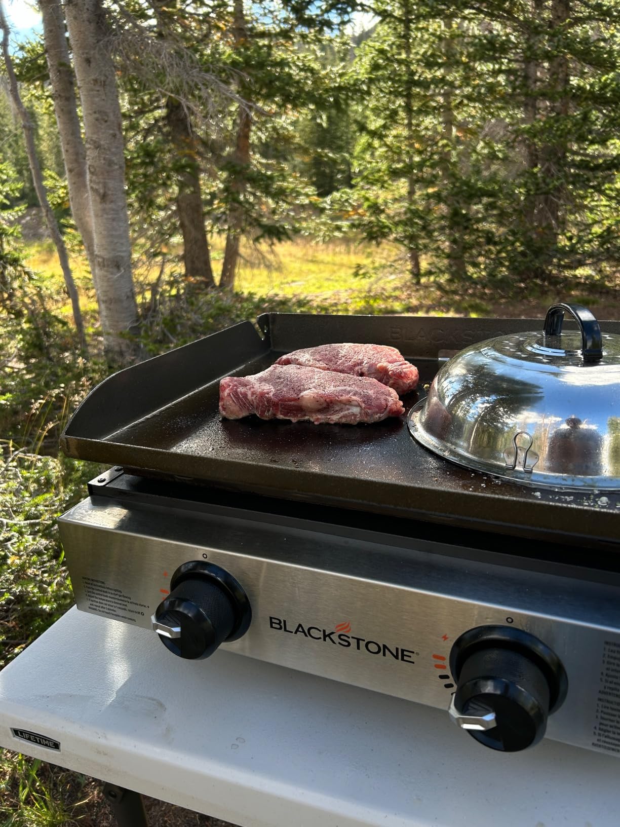 Blackstone 1666 22” Tabletop Griddle with Stainless Steel Faceplate, Powder Coated Steel, Black customer photo 1