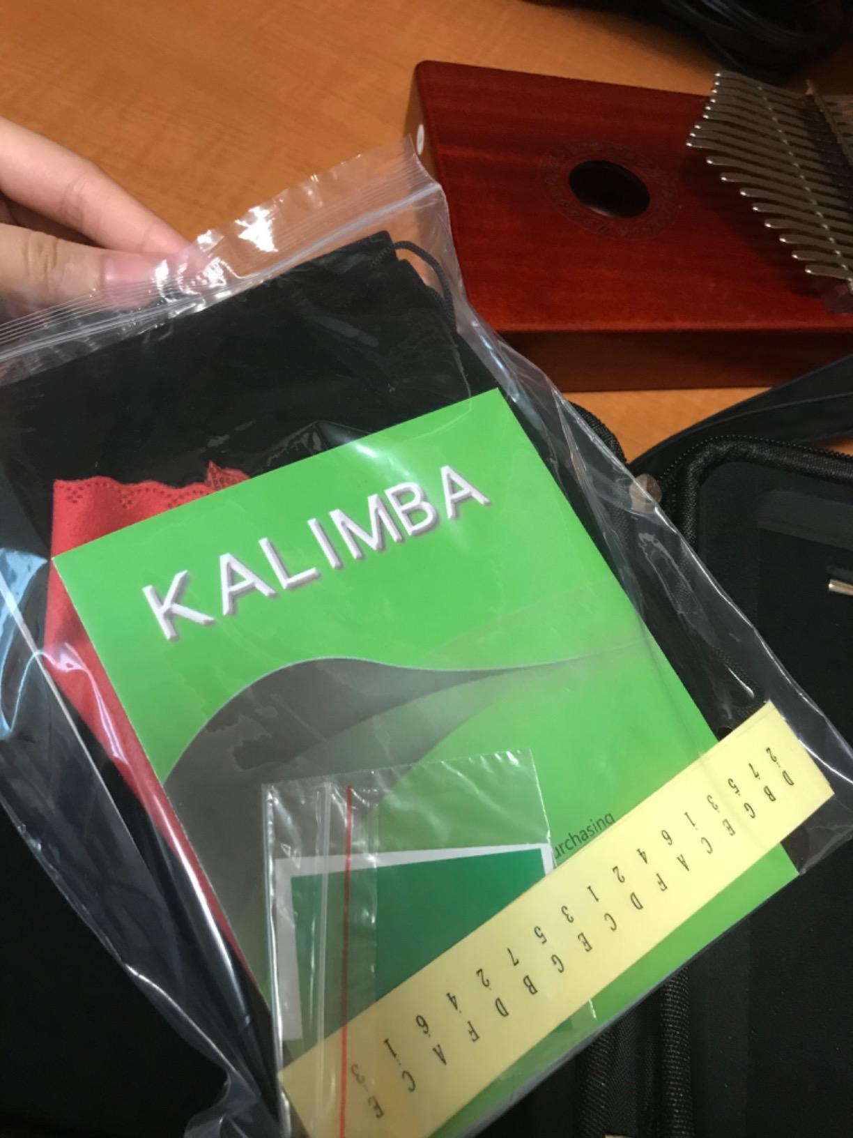 GECKO Kalimba 17 Keys Thumb Piano with Waterproof Protective Box, Tune Hammer and Study Instruction, Portable Mbira Sanza Finger Piano, Meditation Sound, Gift for Beginners and Professional customer photo 1