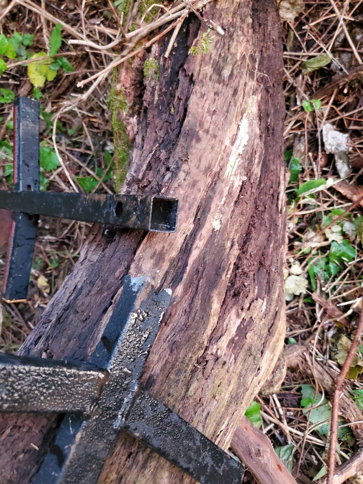 Muddy Quick Step Xl Tree Stand customer photo 1