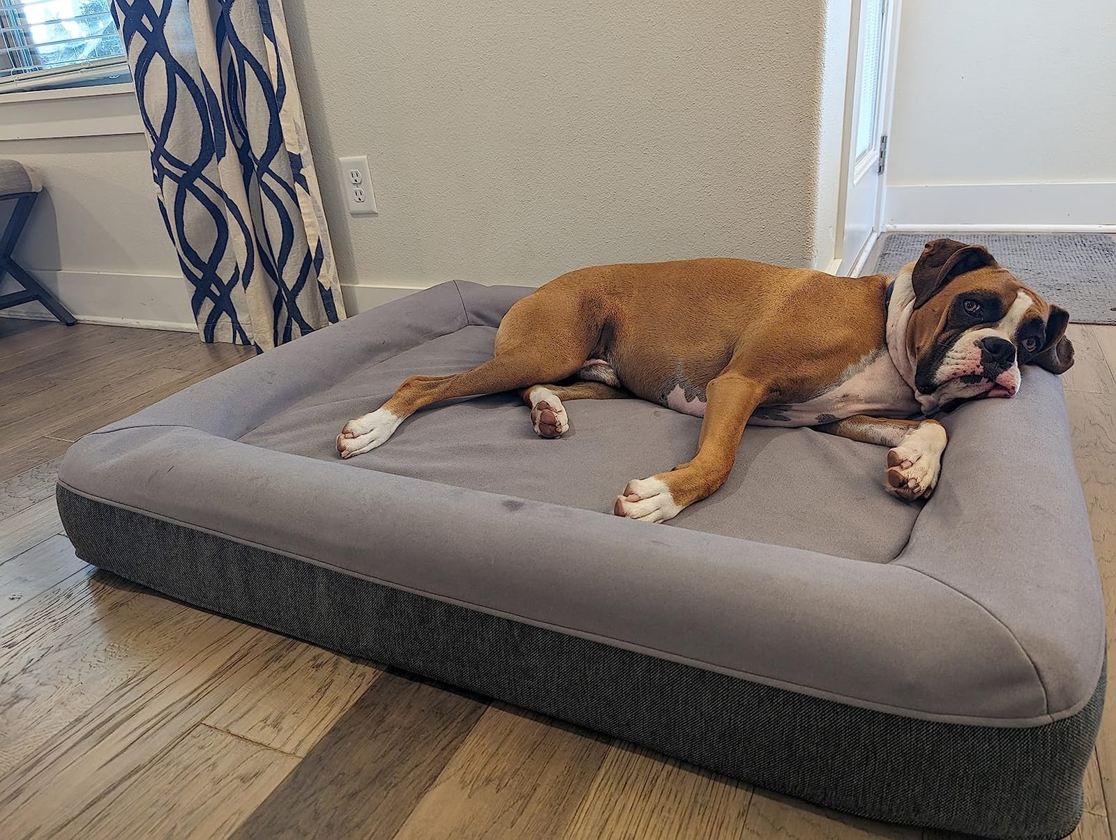 Casper Dog Bed, Plush Memory Foam, Medium, Sand customer photo 1