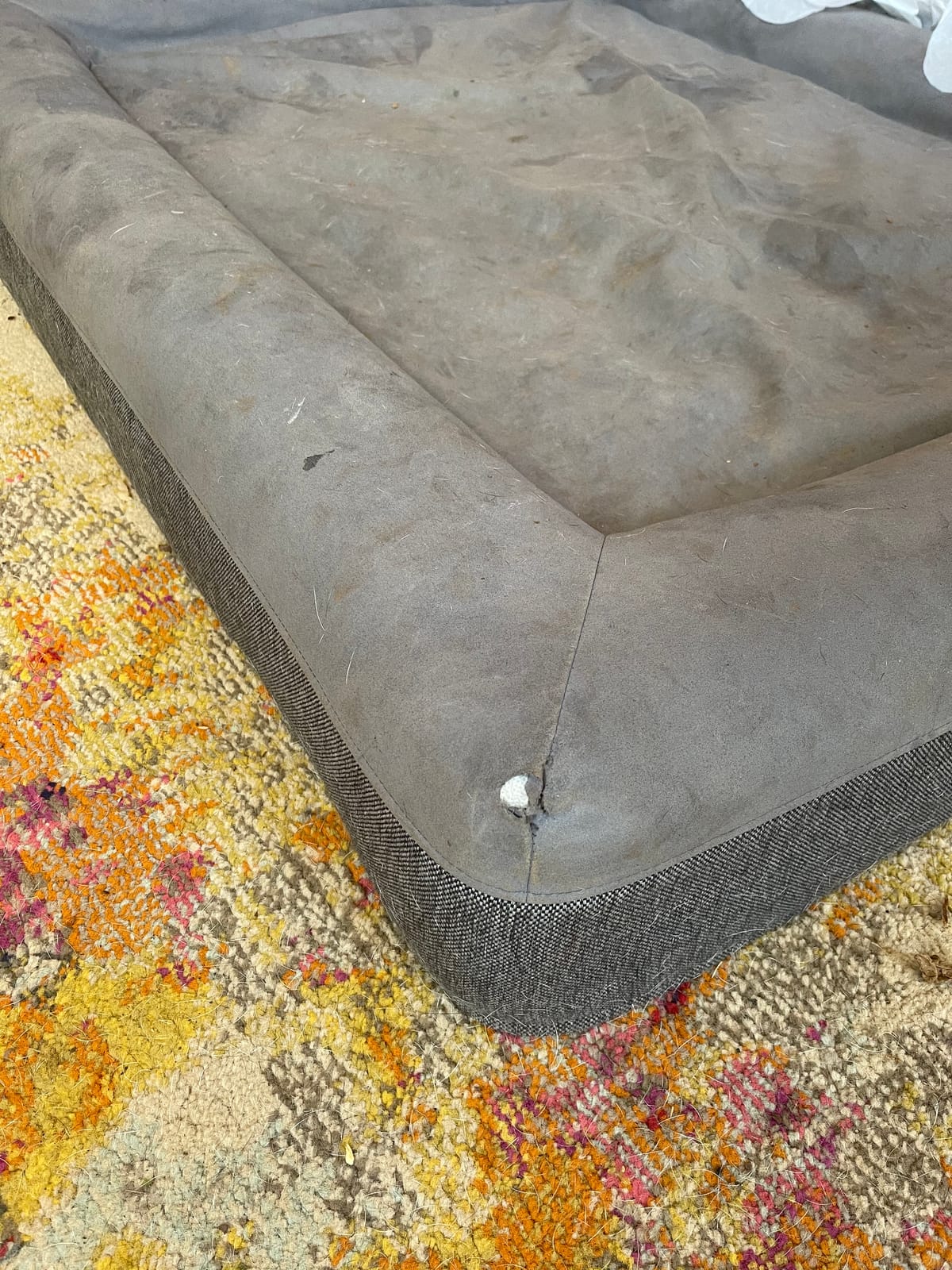 Casper Dog Bed, Plush Memory Foam, Medium, Sand customer photo 2