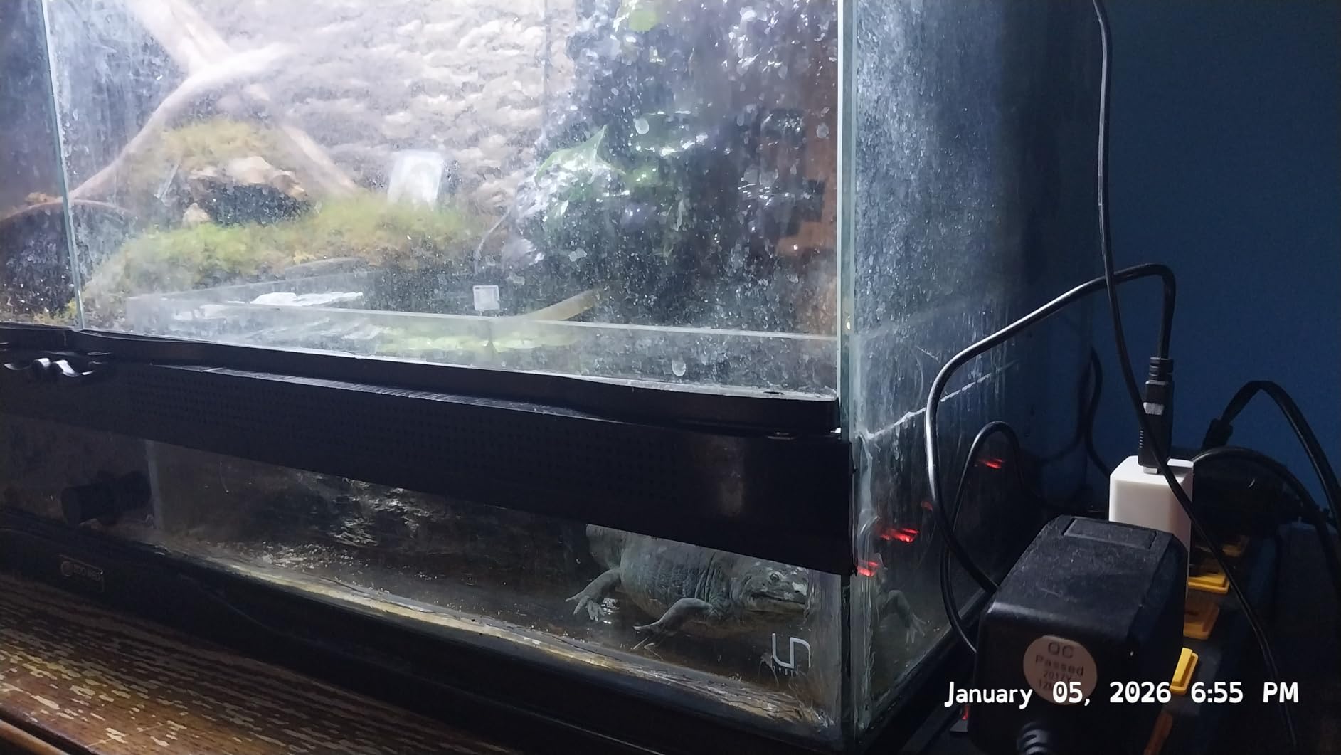 Ultum Nature Systems Ultra Clear Rimless Aquarium - Low Iron Glass Fish Tank with 45° Mitered Edges, 5mm-12mm Thick, Leveling Mat Included (16C, Cube, 1 Gallon) customer photo 1
