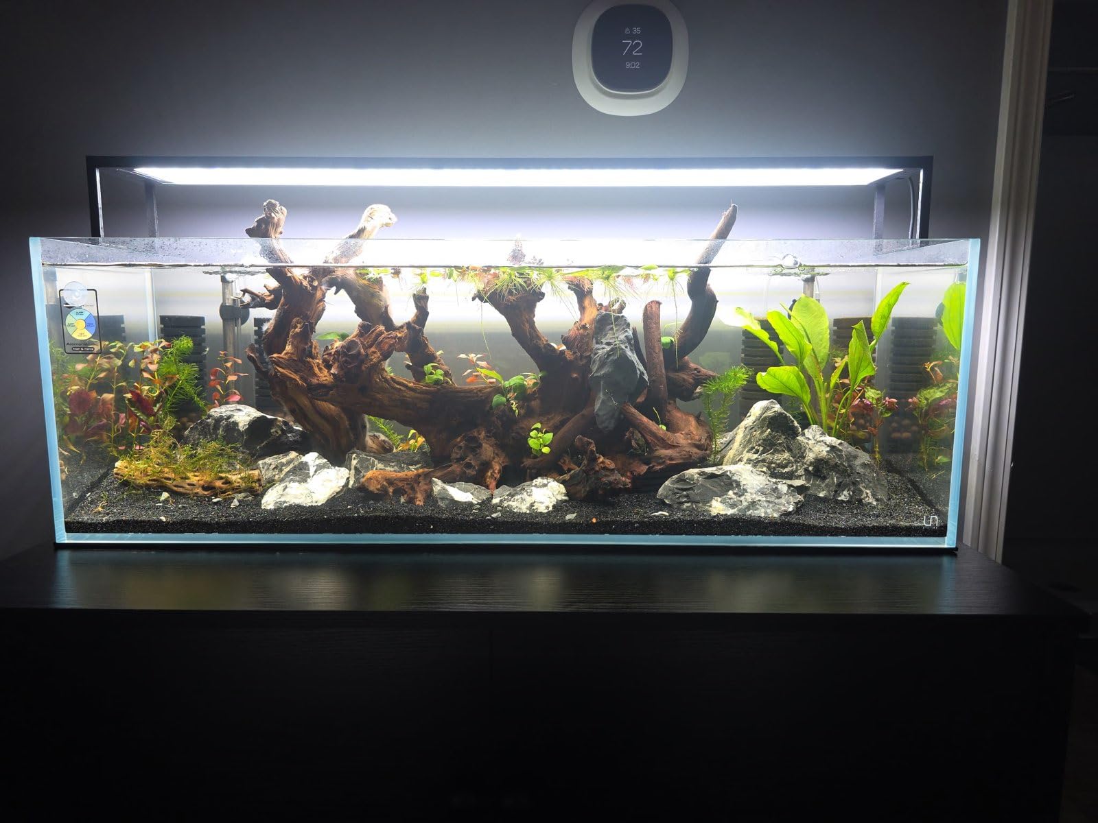 Ultum Nature Systems Ultra Clear Rimless Aquarium - Low Iron Glass Fish Tank with 45° Mitered Edges, 5mm-12mm Thick, Leveling Mat Included (16C, Cube, 1 Gallon) customer photo 2