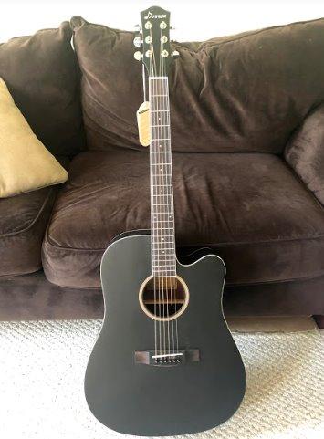 Donner Acoustic Guitar for Beginner Adult Full Size Cutaway Acustica Guitarra Bundle Kit with Free Online Lesson Bag Strap Tuner Capo Pickguard String Pick, Right Hand 41”Sunburst, DAG-1CS/DAD-160CS customer photo 1