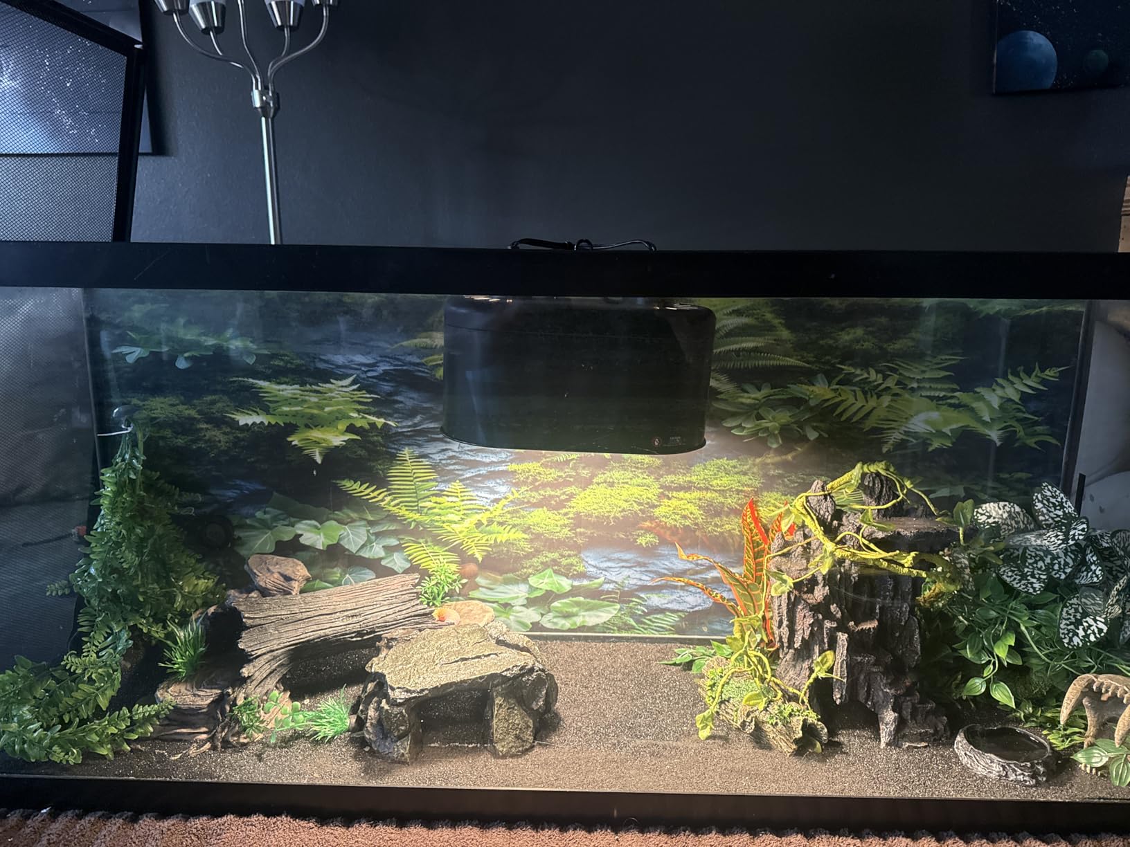 REPTI ZOO Dual Reptile Light Fixture for Reptile Dome UVB Lamp Fixture Dual Reptile Reflector Dome Lamp Cap Combo Integration Design Heat Lighting Lamp Kit customer photo 2
