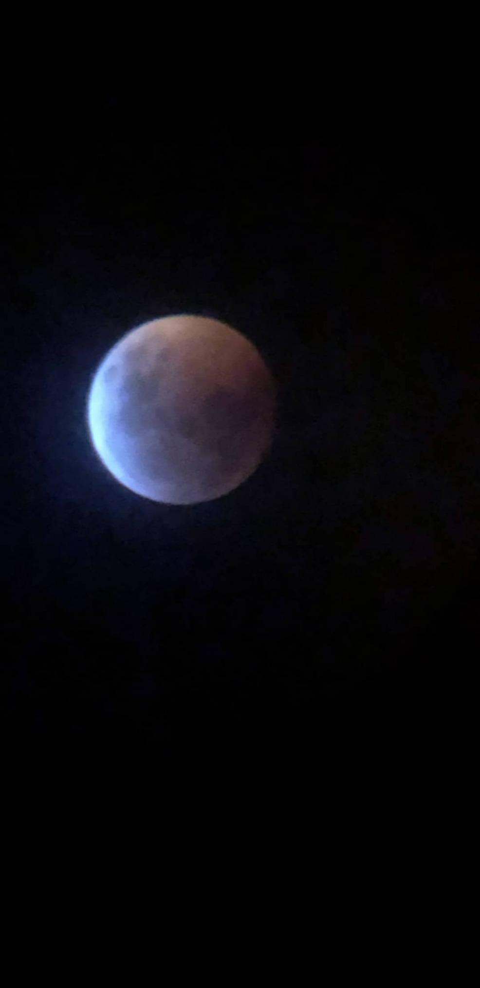 Celestron Signature Series Moon by Robert Reeves Features A Superb Moon Astronomical Telescope, Black (22016) customer photo 1