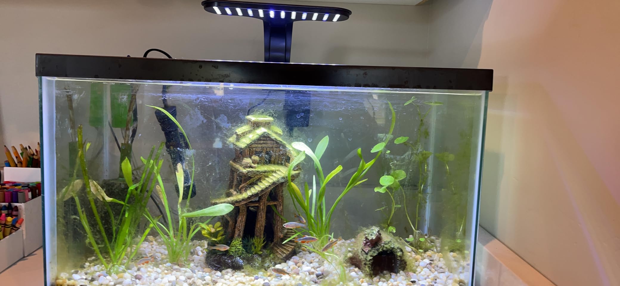 Aqueon Clip-On LED Fish Tank Light for Planted Aquariums, Up to 20 Gal customer photo 2