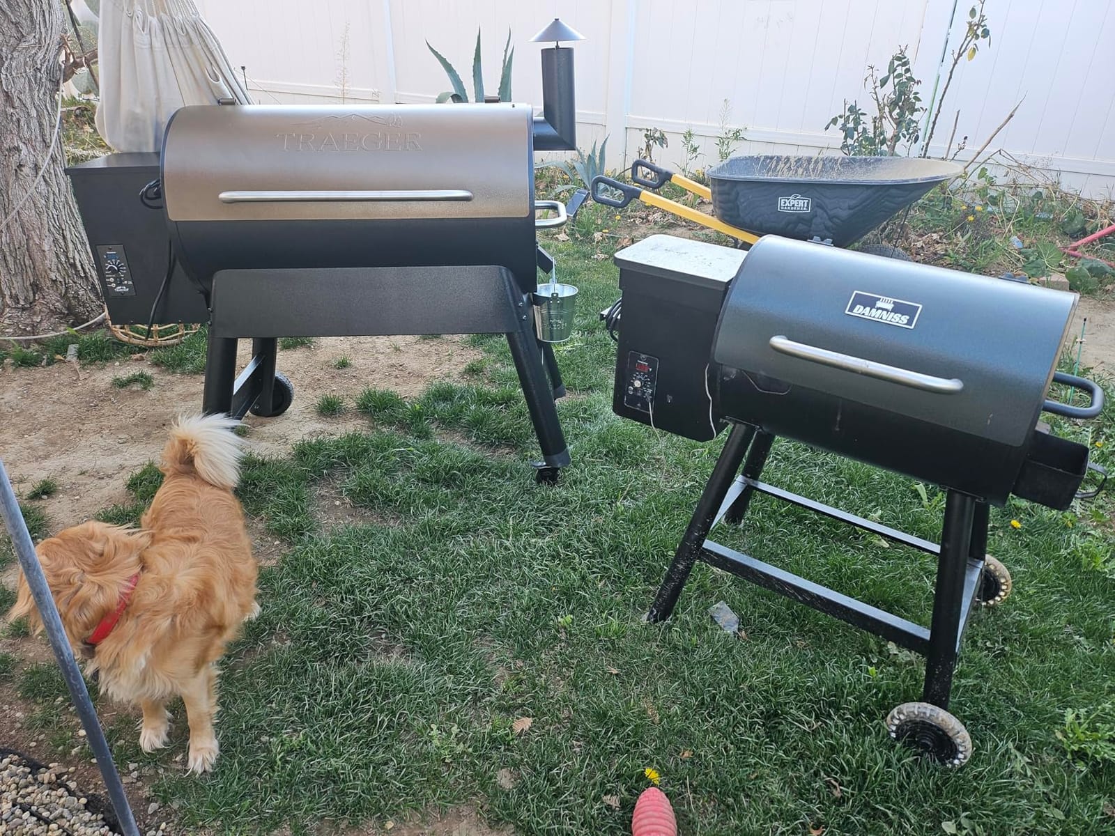 Traeger Pro 34 Wood Pellet Grill & Smoker, 884 Sq In, WiFi | 450°F max temp, meat probe included, 6-in-1 BBQ versatility - grill, smoke, bake, roast, braise & BBQ customer photo 2