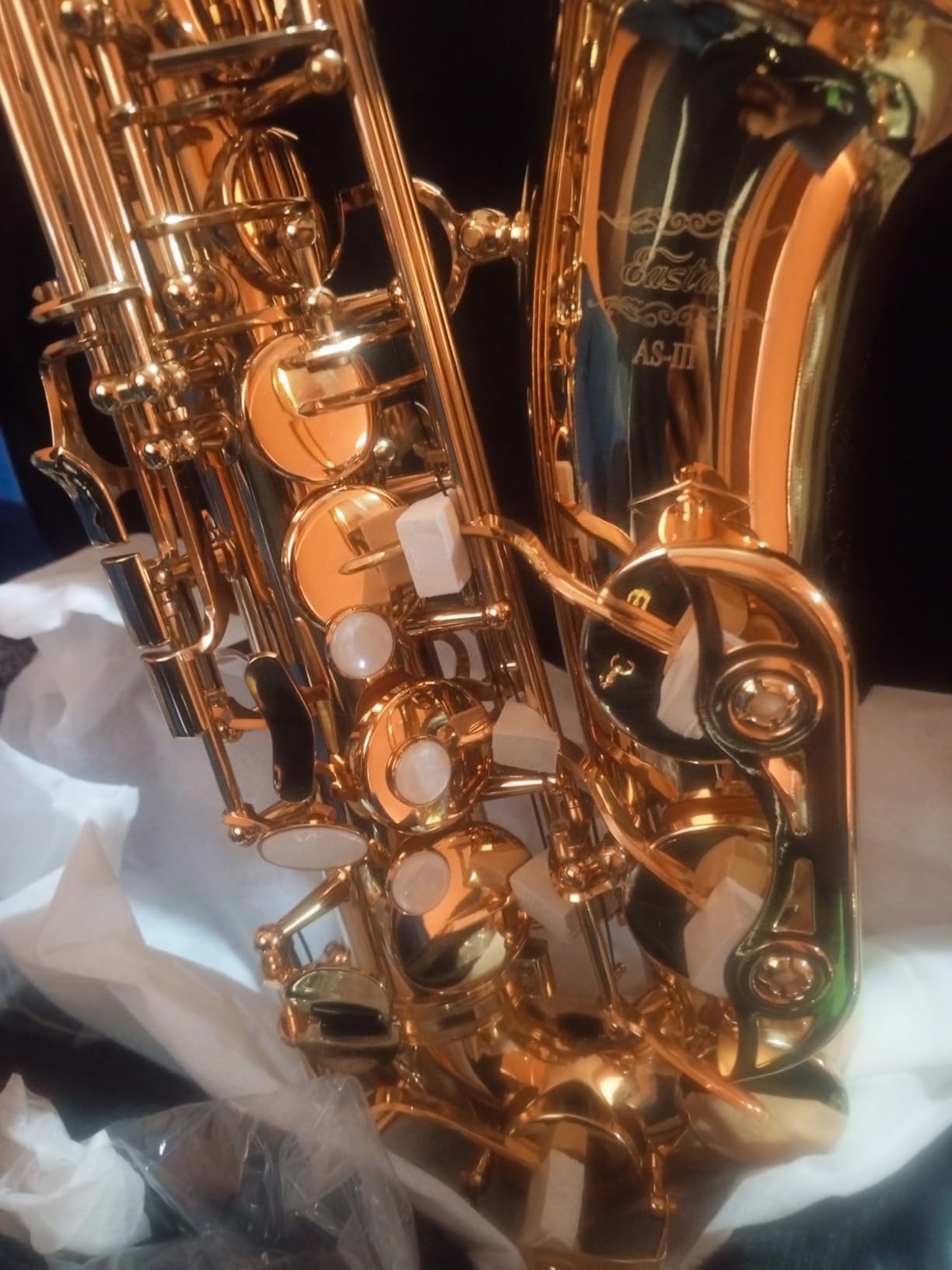 Eastar Student Alto Saxophone E Flat for Beginner Sax Full Kit with Carrying Case, Mouthpiece, Straps, Reeds, Stand, Golden Lacquer, AS-Ⅱ customer photo 2