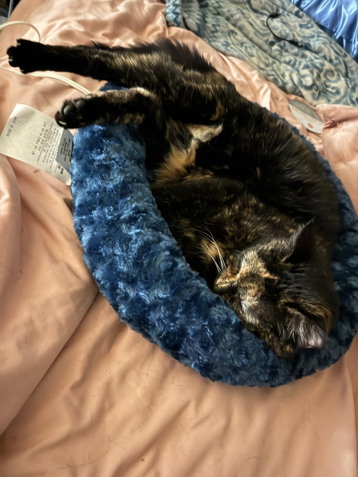 K&H Heated Cat Bed, Thermo-Kitty Fashion Splash Indoor, Safety Listed, Removable Waterproof Cat Heating Pad, Orthopedic Foam Heated Dog Bed for Cats & Dogs, Small 18in Round, 4 Watts, Blue customer photo 2
