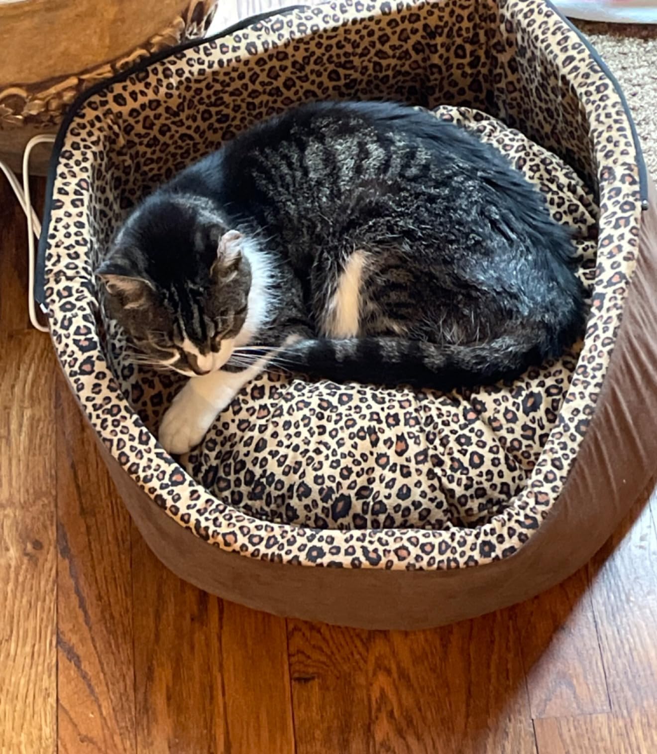 K&H Heated Cat Bed, Thermo-Kitty Bed Deluxe, Indoor, Safety Listed, 16in, Removable Waterproof Cat Heating Pad, Machine Washable Covered Cave Pet Tent for Smaller Kitties, Heated Dog Bed, Small, 4W customer photo 2