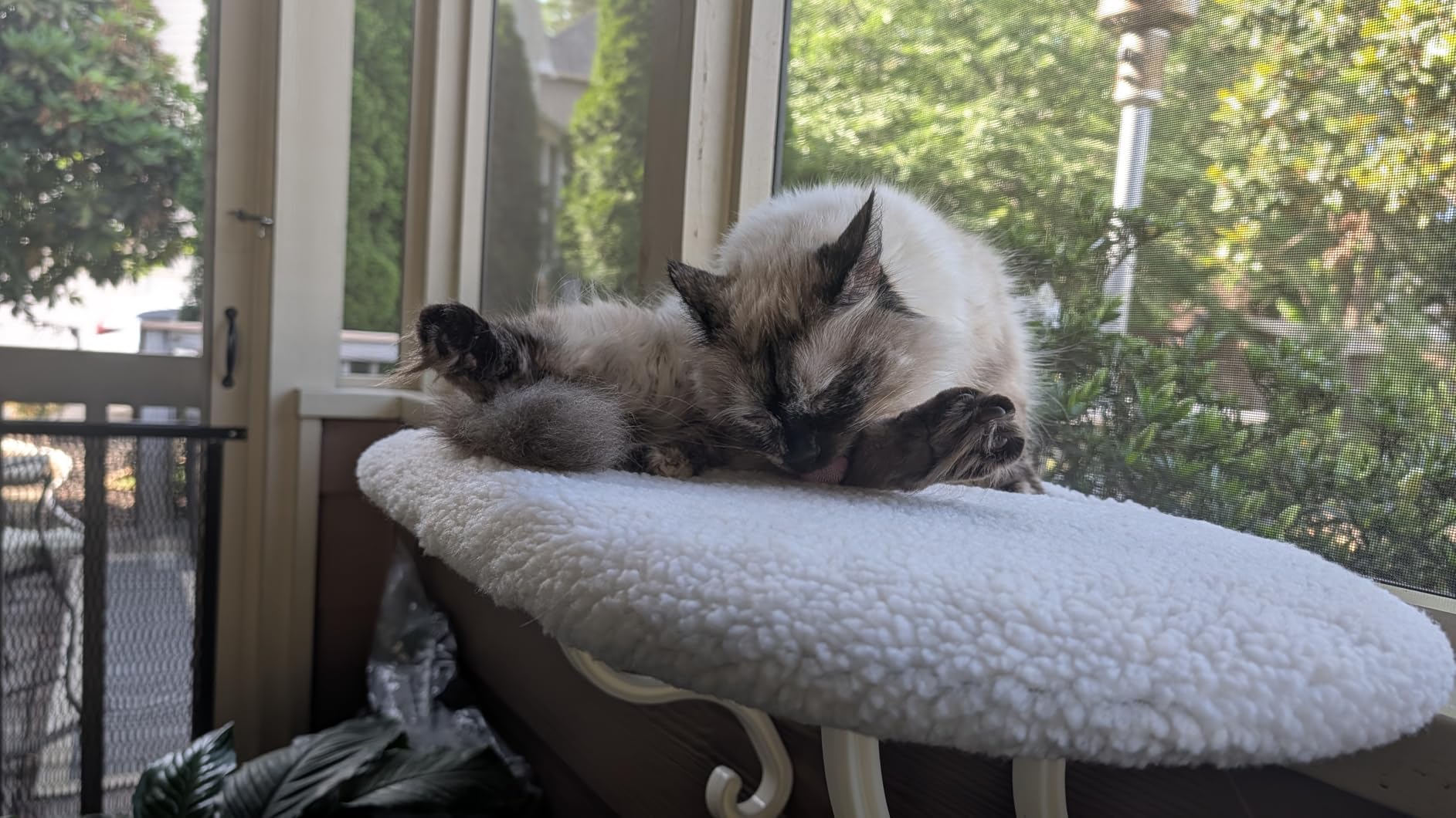 K&H Cat Window Perch, Unheated Kitty Sill, 24x14in, Fleece | Orthopedic Cat Window Hammock Bed Holds 40LBS, Washable Cover, Kitty Windowsill Bed Seat for Indoors, Cream Fleece customer photo 2