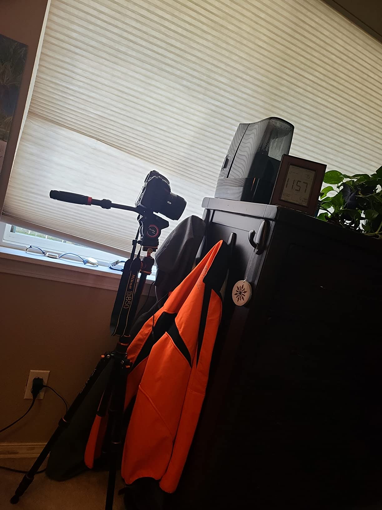 Avella Video Tripod Fluid Head with Quick Release Plate, Lightweight Heavy Duty Compatible with Manfrotto, Max Load 13.2lb/6kg for Video Canon Nikon Sony Olympus Panasonic DSLR Camera, V501 customer photo 2
